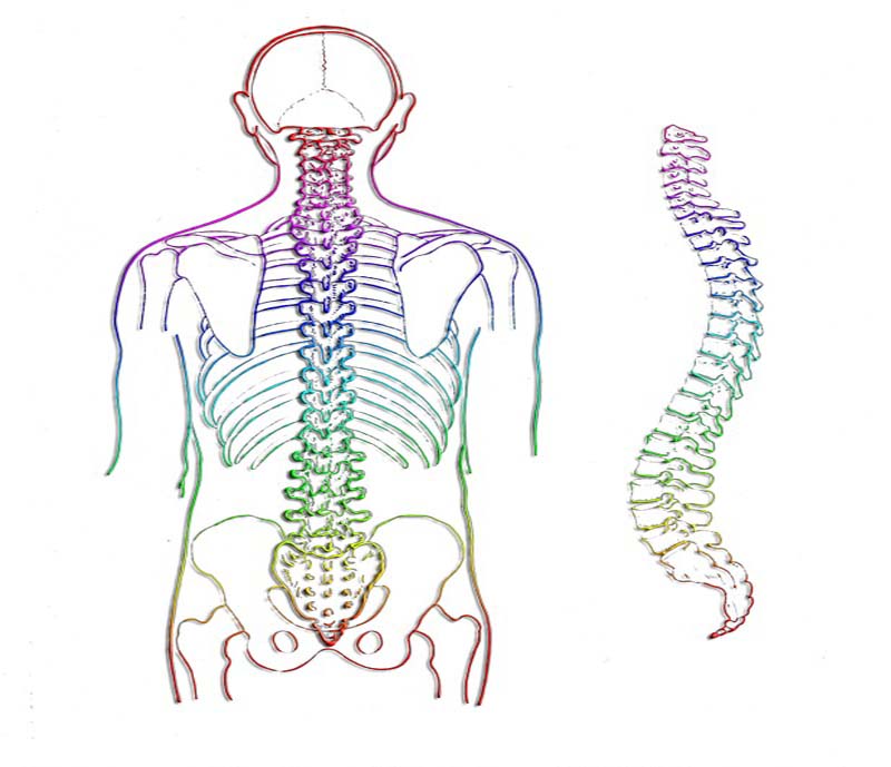Spinal Cord Injury Treatment by Dr Tarun Kumar Adukia at Neuro Clinic Ranchi